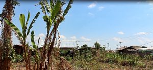 Bekas kuburan massal korban tragedi 1965 di area Pasar Puni, Ruteng. (Foto: Asrida Elisabeth)