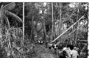 Arsip foto tapol di Pulau Buru mengikuti kerja paksa (c) 2015People's Empowerment Consortium