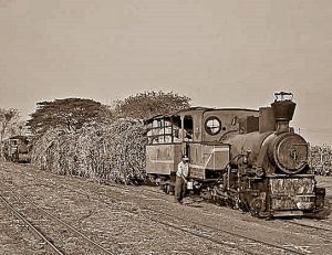 87420: Menarik lori tebu di areal Pabrik Gula Tersanabaru, Babakan, Cirebon [ist]