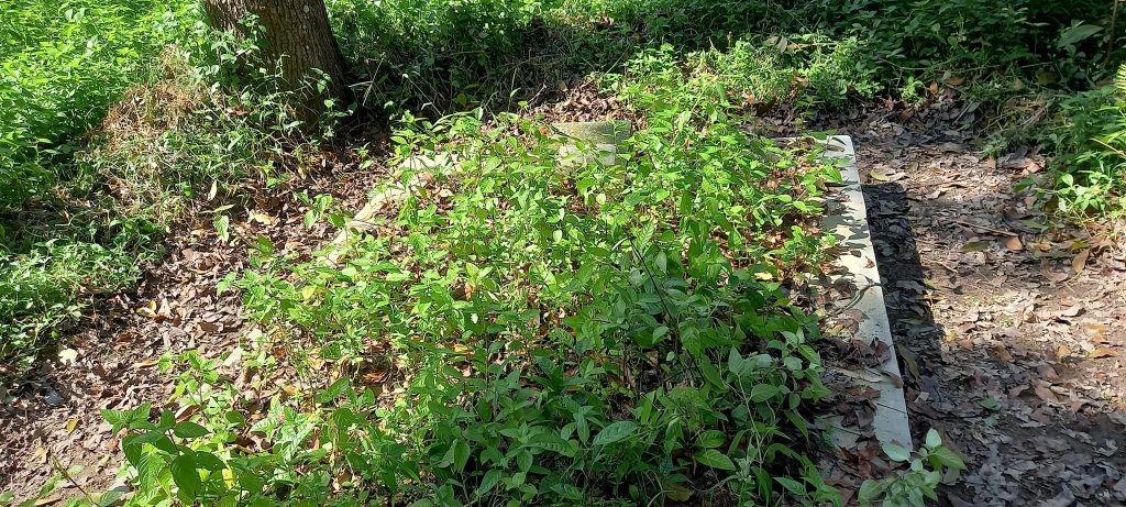 331758858_1895276004177047_2277924150879280017_n