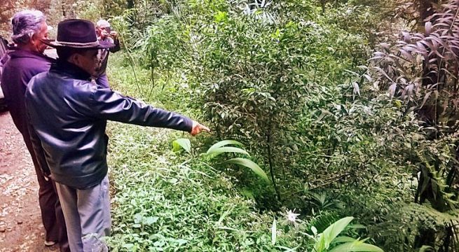MASS-GRAVES: Salah satu dari 3 lokasi pembantaian massal dan pembuangan mayat di situs cagar alam Gunung Tilu, Bandung selatan. Seorang warga tengah menunjukkan jurang (31/10) berdasarkan petunjuk pelaku pembantaian yang telah bertaubat dan minta maaf sebelum meninggal [Foto: Humas YPKP65]