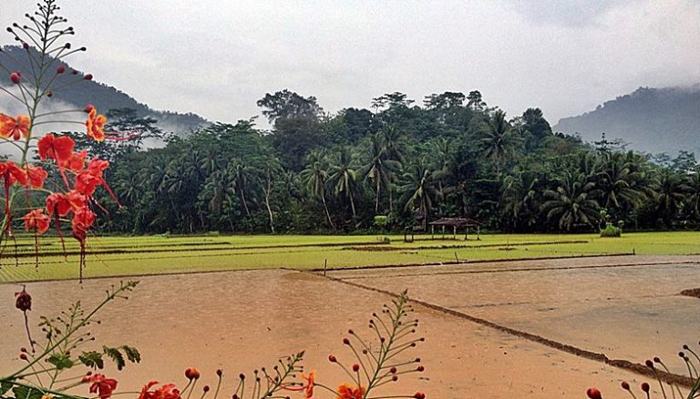 3851_tirto-giri-kalangan_cokrokembang1