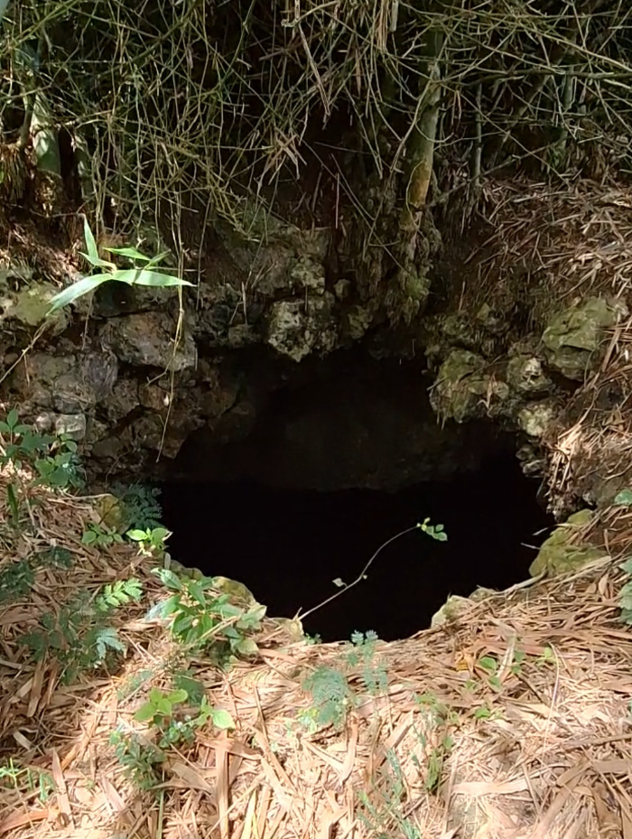 Screenshot 2026-04-04 151907